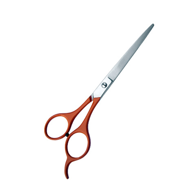 Barber Scissors