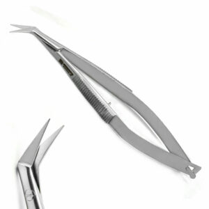 New Holders