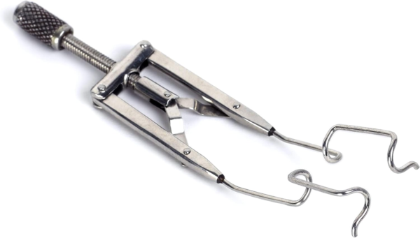 Libarman Speculum